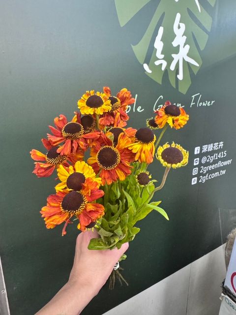 S__27959335_0