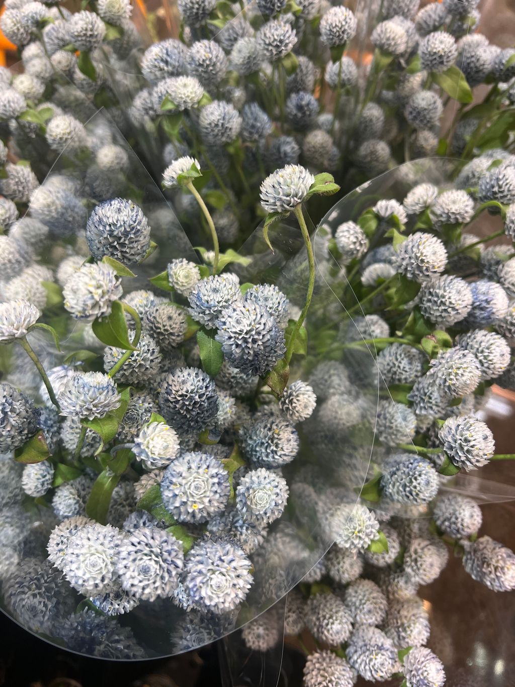 image_946DC9CB-1B3F-4180-A212-B22033E012BD_1750907830