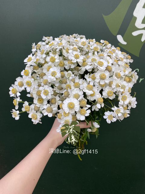 S__30416956_0