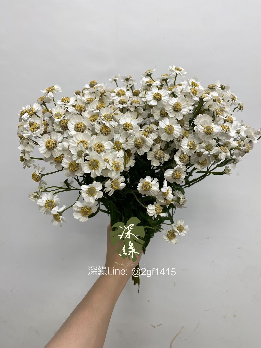 S__30416955_0