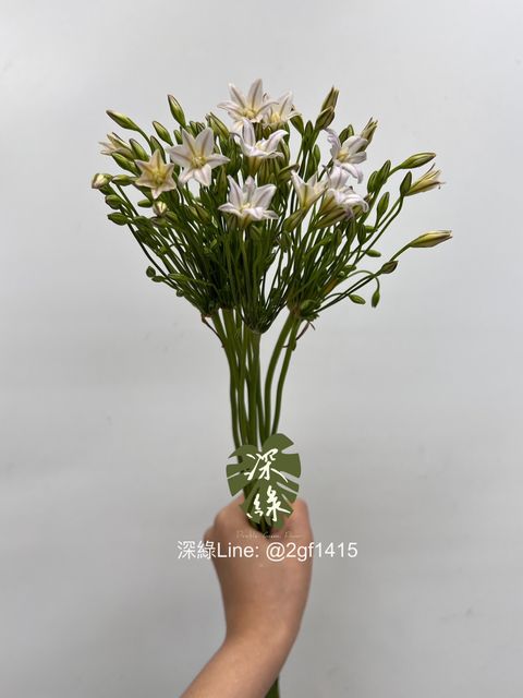 S__6128085_0