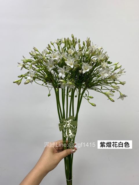 6B94D609-76D3-4507-85D7-B021F30535F4