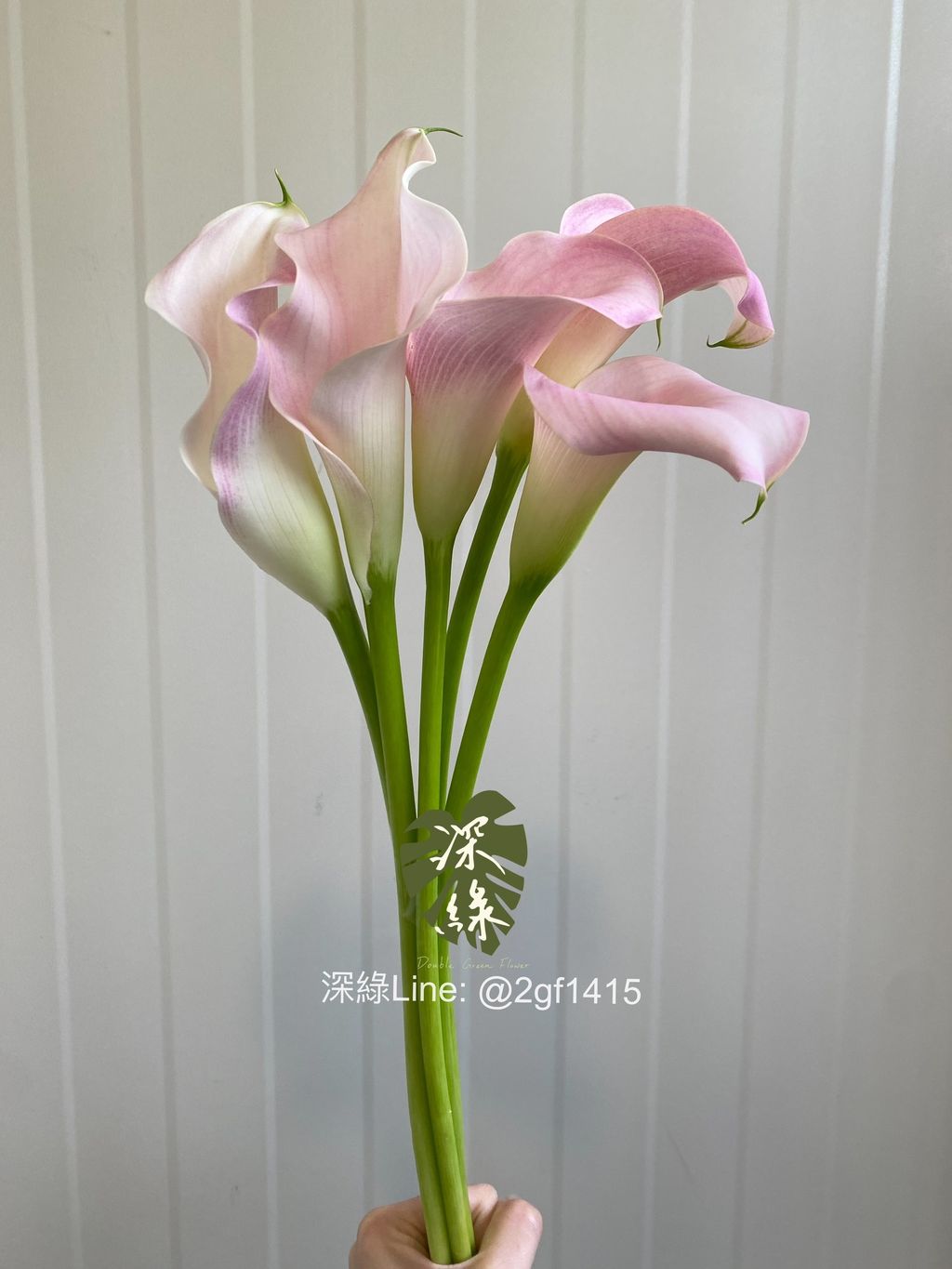 eZy Watermark_04-11-2024_08-00-09-5820下午-1730722855027