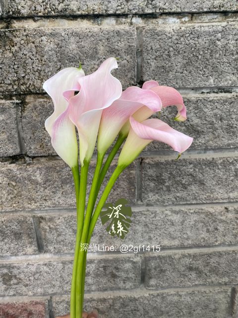 eZy Watermark_04-11-2024_08-00-08-7980下午-1730722855196