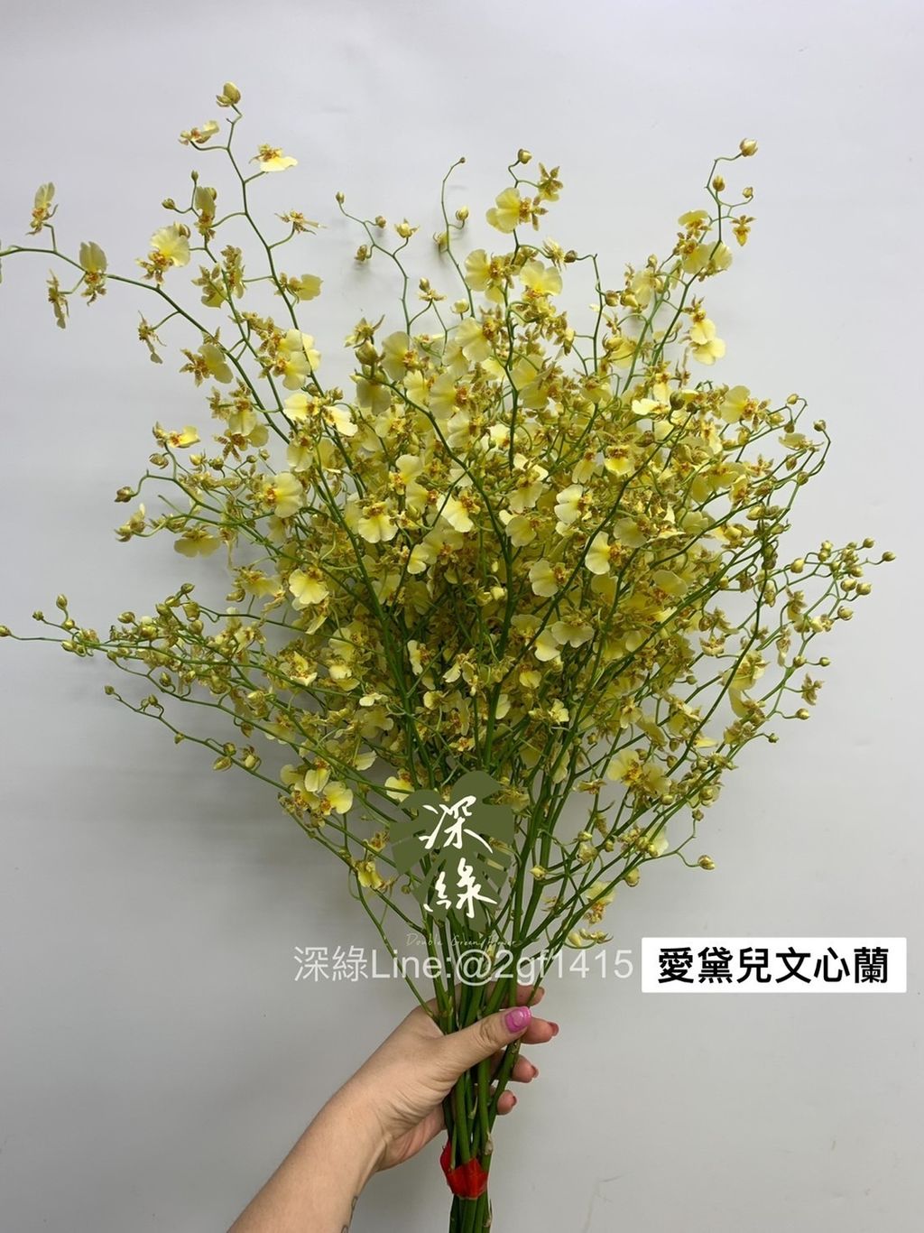 S__3367102