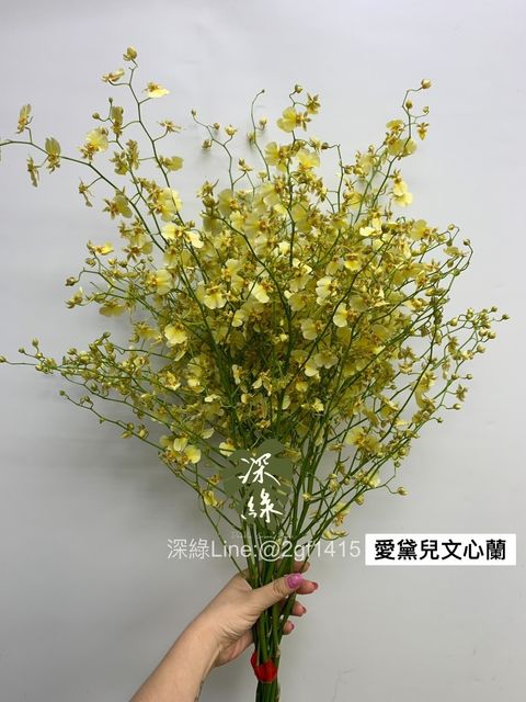 S__3367102