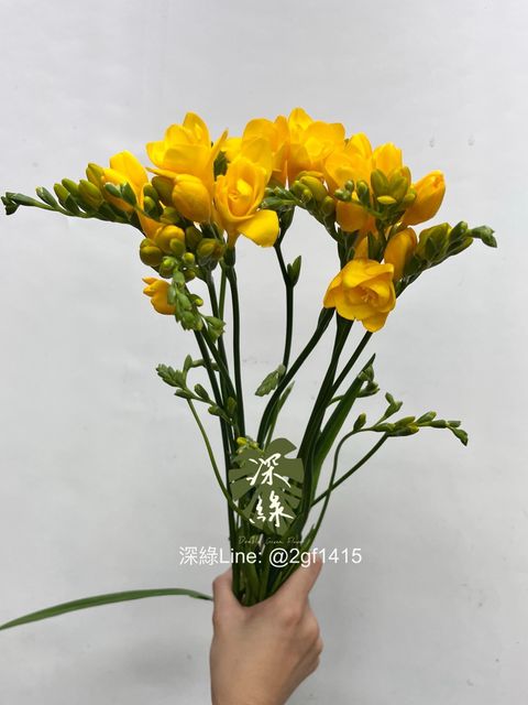 image_43892285-C3C4-428E-B245-C84D070586EE_1751261736