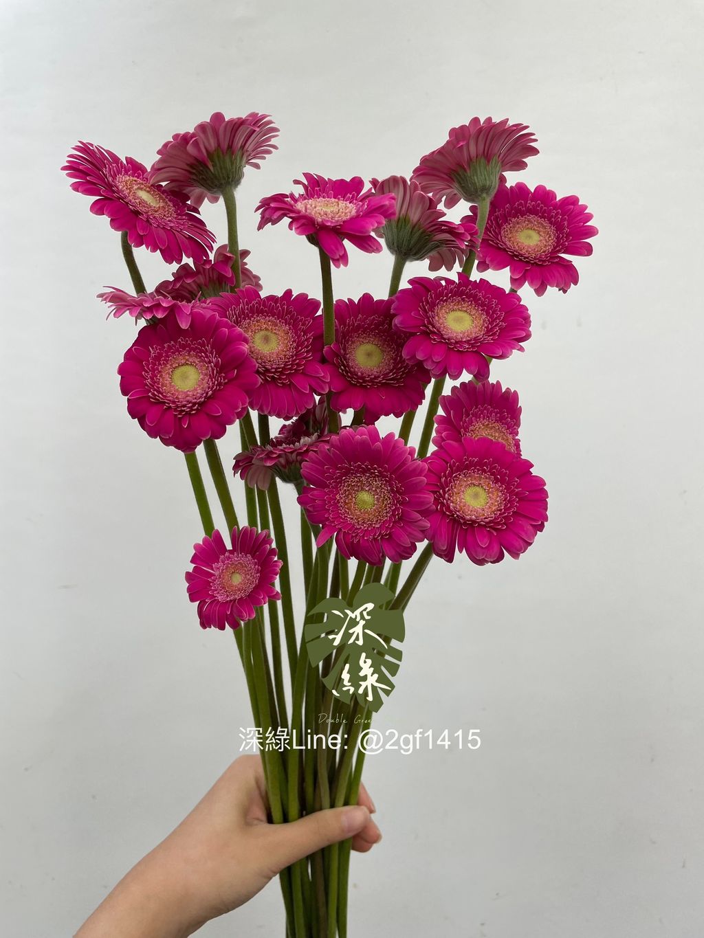 image_D478AA91-0E8A-4EEF-ABE1-75BC902DC8C2_1751267802