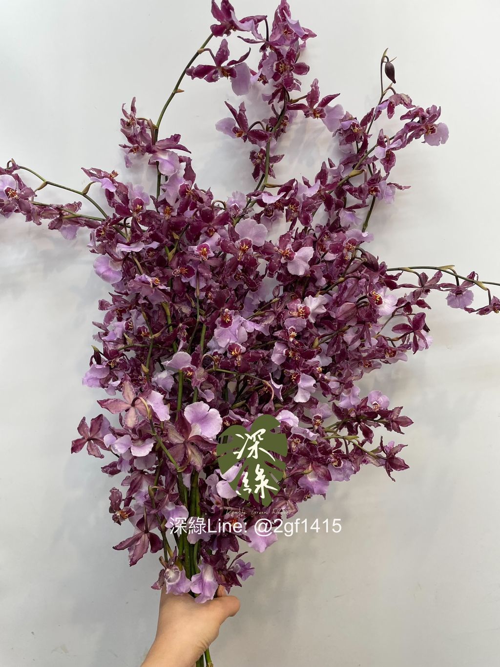 image_45ED9A37-A05E-4D64-9AC1-DBDF056D66AD_1751343366