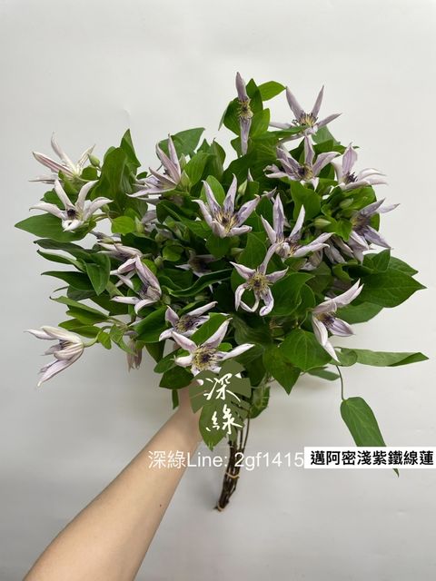 60A54DAA-5D16-43EC-95B4-28A578C2B497