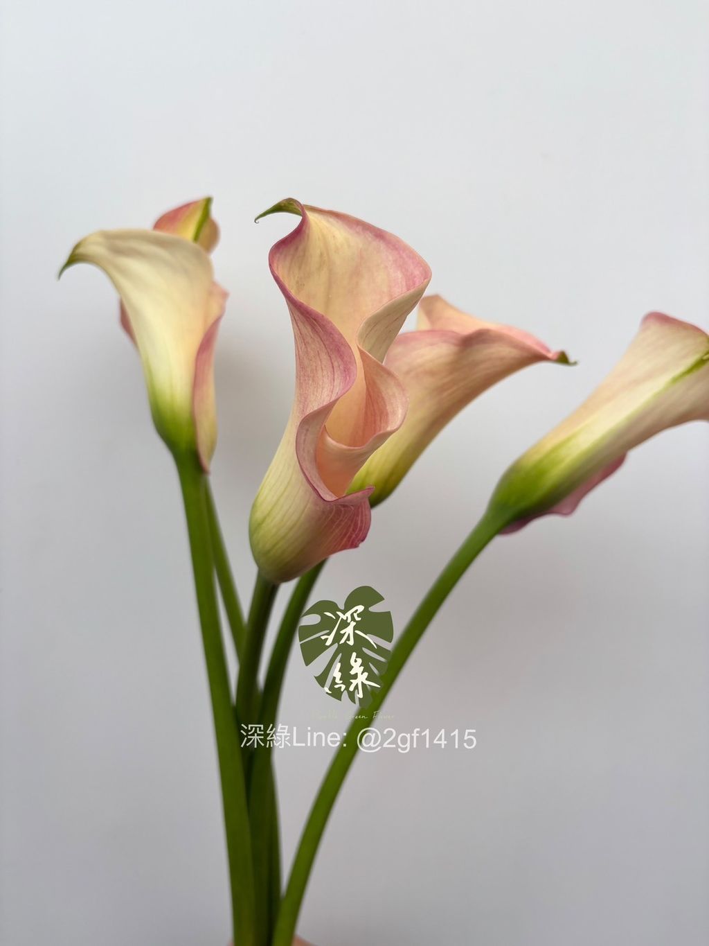 S__39100423_0