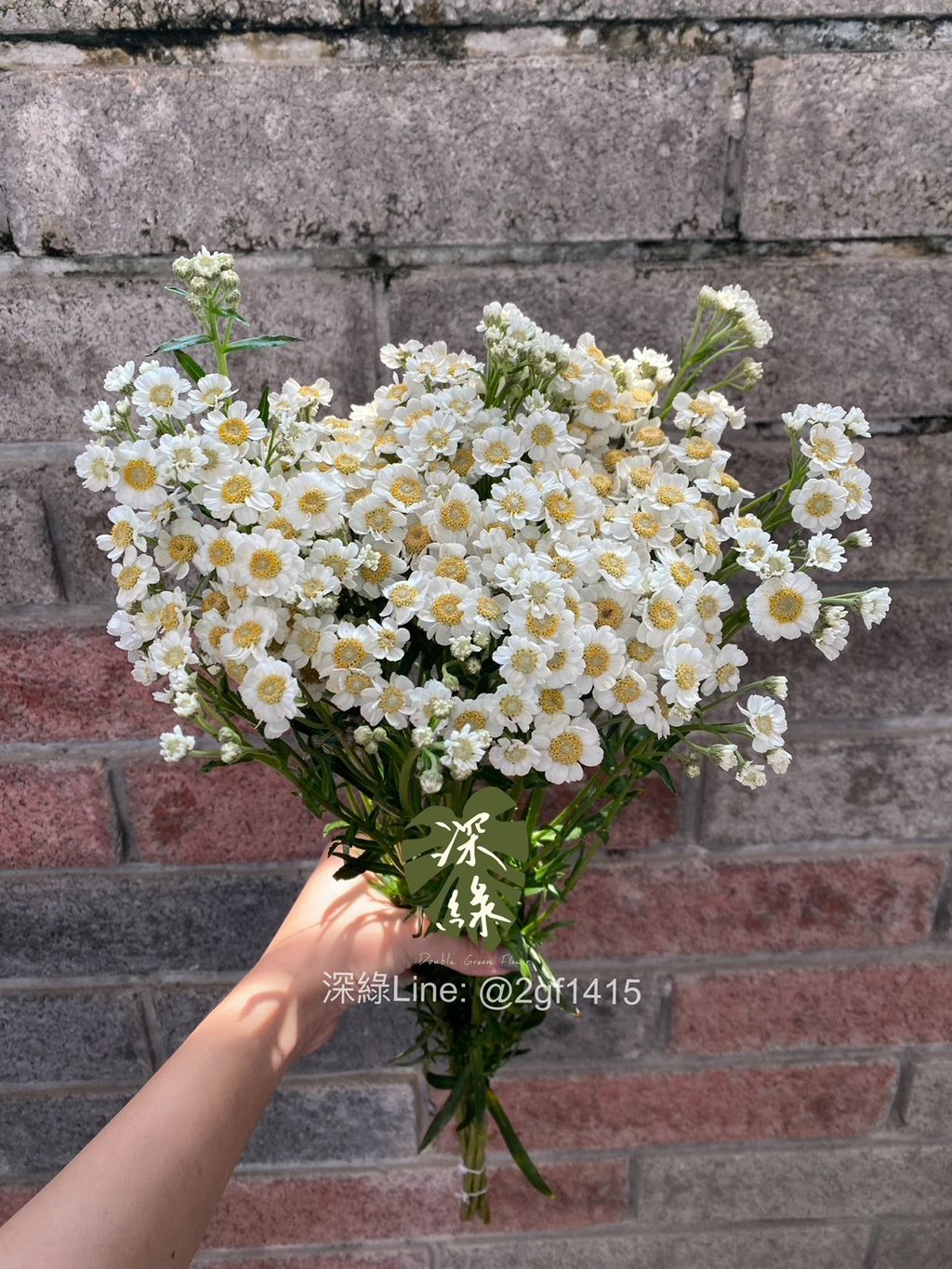 S__39092251