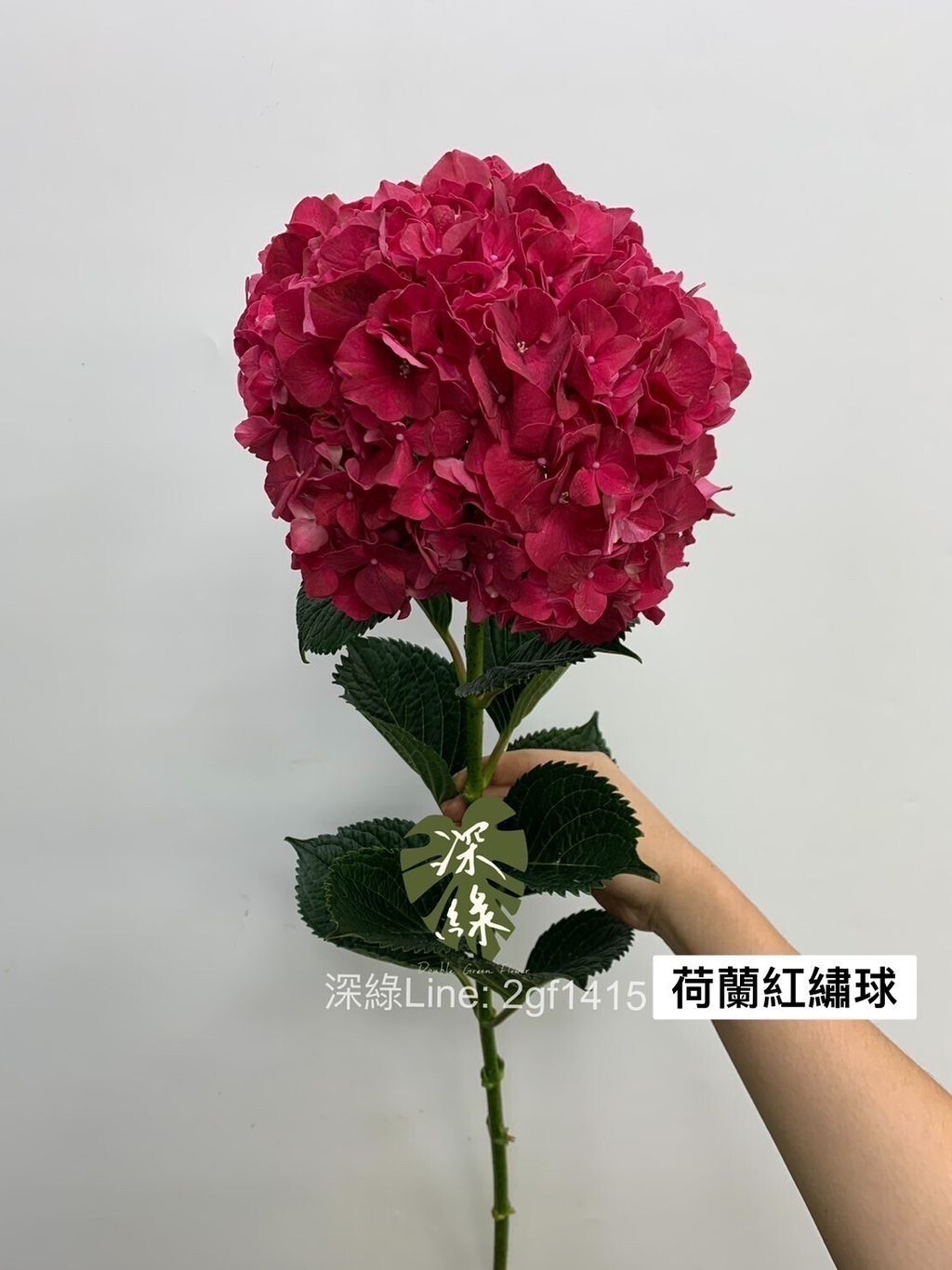 c785f5bc1f526c621f6ef590332ad5ccec5e9b18