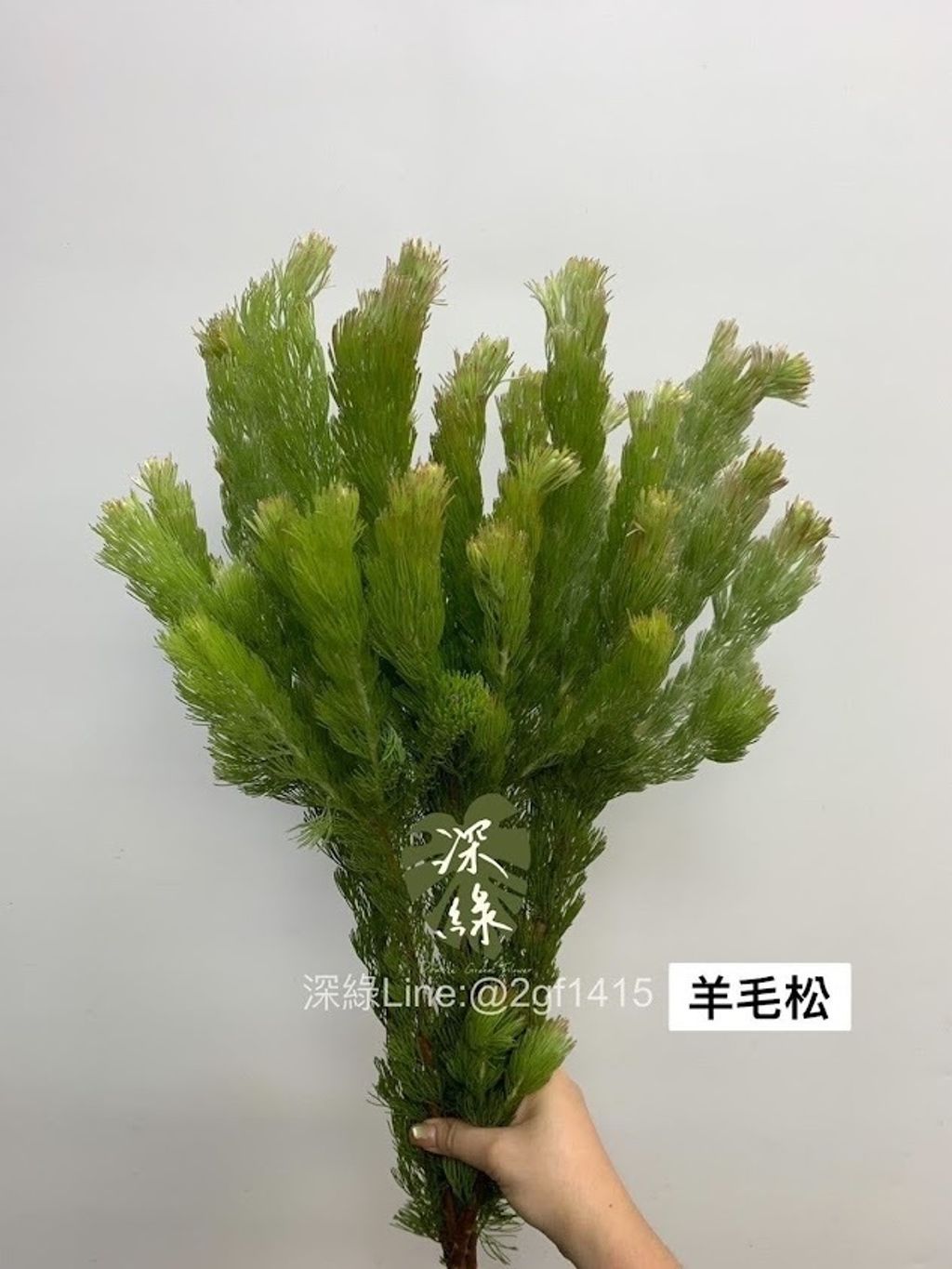 AIL4fc8kuOe6-byNc2lwGMQENEQQgTD2wYw6RNmyYzAUsf3BVUR5WjDtjwXxlHPse8rMD-7nVBtOYyNtmzCIR7UG6plk25UEuQiKDARIkolEXbVCb5CVrJj7554UPyjkZu6wAG-qdL5ACo7SciEQ5HHf05Bt=w634-h845-s-no