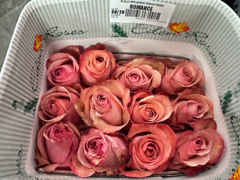 image_CED2950A-7DE1-432B-82B8-D9529AE16614_1751793613