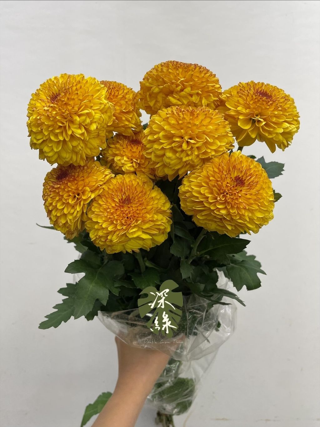 image_8C2DEFDA-3FBB-4E12-92FD-97178BC8161A_1751956088