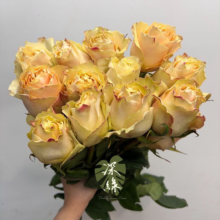 image_9D97C432-2D7C-441A-A238-59F9B194EA67_1751957405