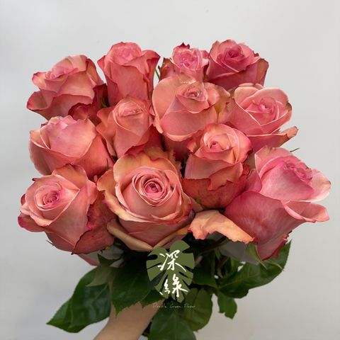 image_57FC0A8A-E7D0-46A0-B947-2B6B37522194_1751957578