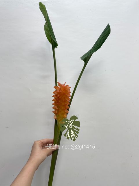 image_6F382397-6ABF-4A6E-BBBC-BC1E9BD6CB16_1752471606