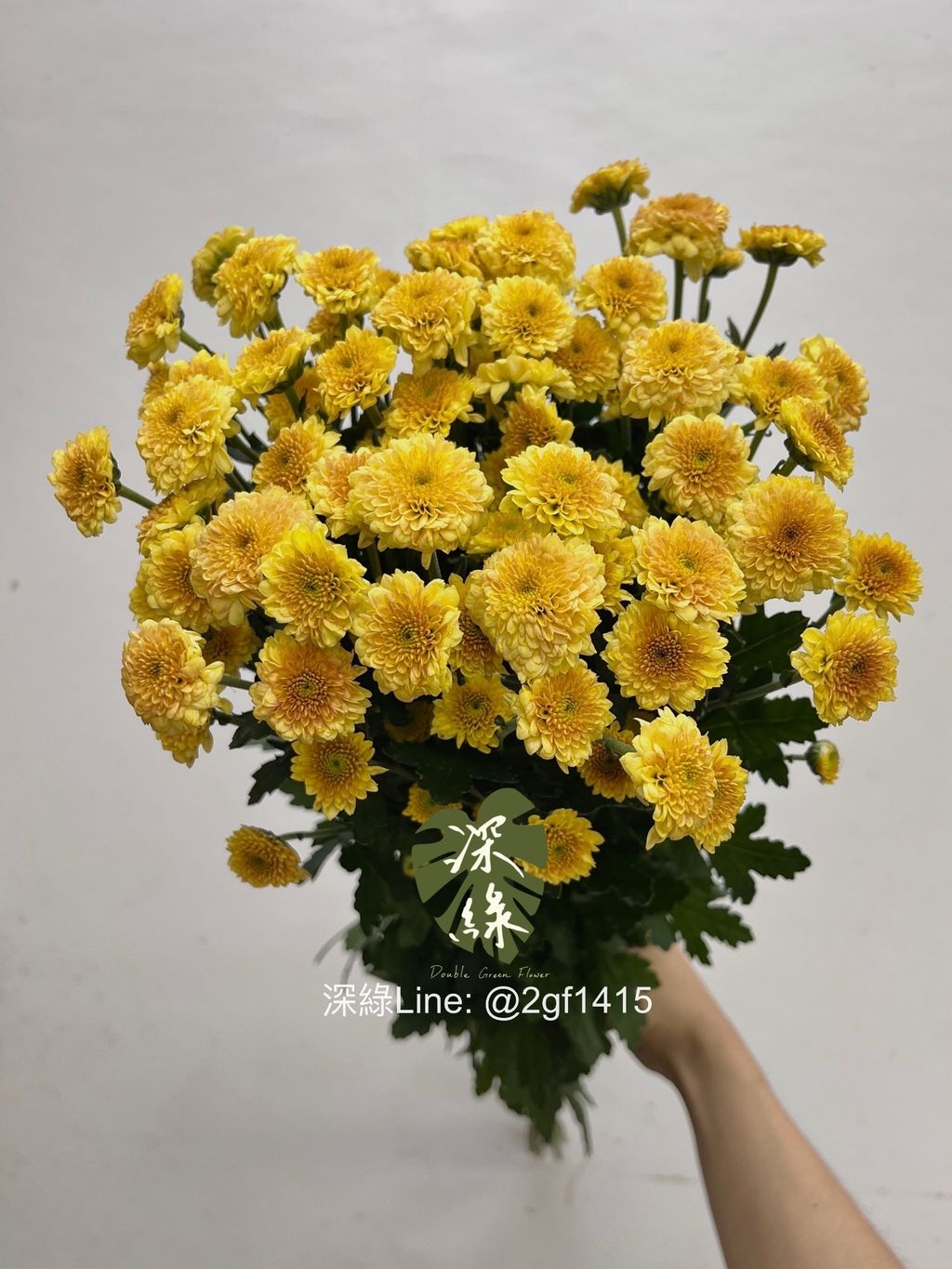 image_777792B6-028A-49E6-AD83-7FA81BD7C4E8_1752551569