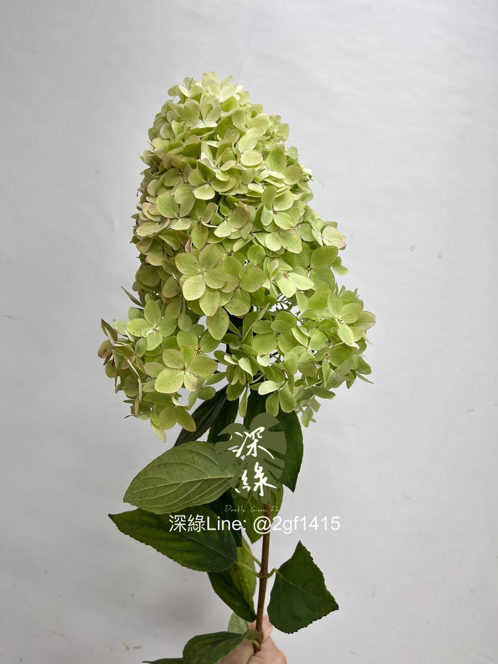 image_6EC59C2B-A31C-4258-8B1D-8C244411CAF3_1752721428