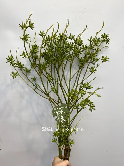 eZy Watermark_15-07-2024_07-25-07-3070下午-1721044399011