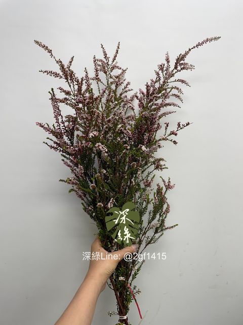 eZy Watermark_10-09-2024_12-32-45-4030下午-1725942800660