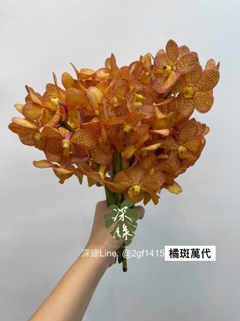 S__3227699