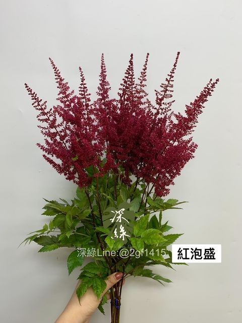 DA6D09AD-A780-44A0-B987-B6B41ECD2E29