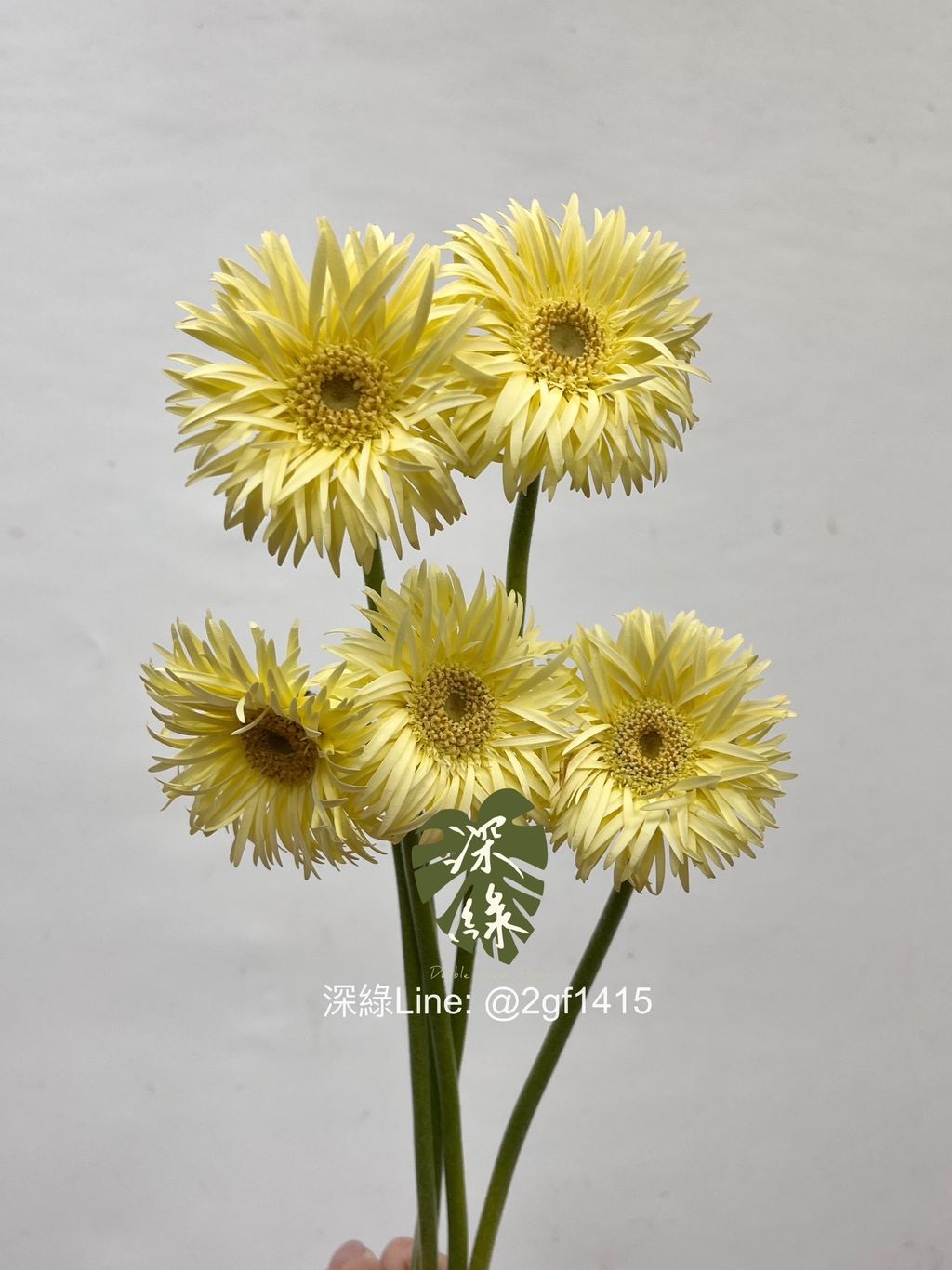 image_4790AC30-6609-4482-9C8D-1933061B97D9_1751342170