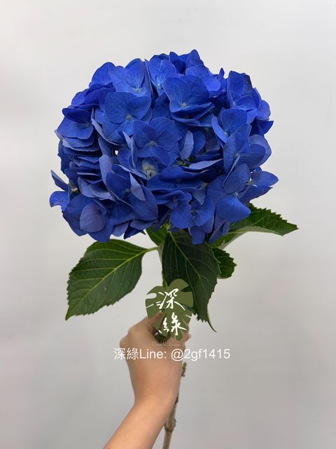 IMG_2617-1716889537879