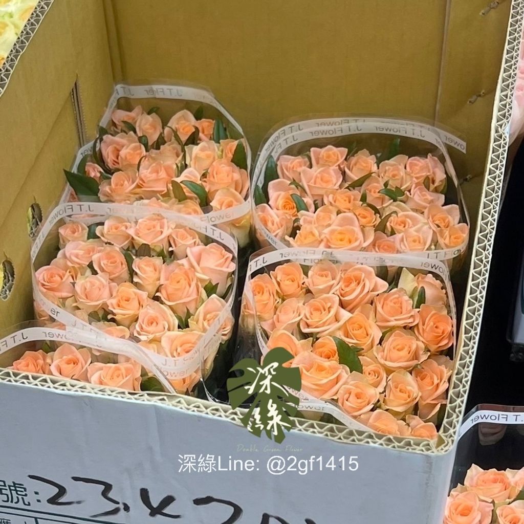 image_B8DF9852-EBA7-477D-92DB-5FBDAAB6B975_1753675045