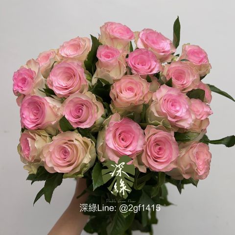 image_BA30C0B7-CD7D-45EE-A0C0-4201A2FEDEE7_1753675093