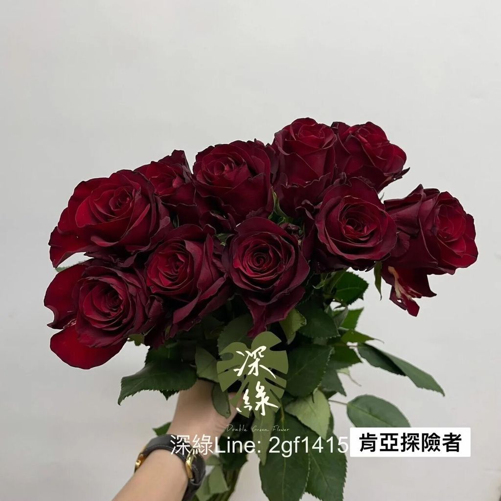 messageImage_1753717537520