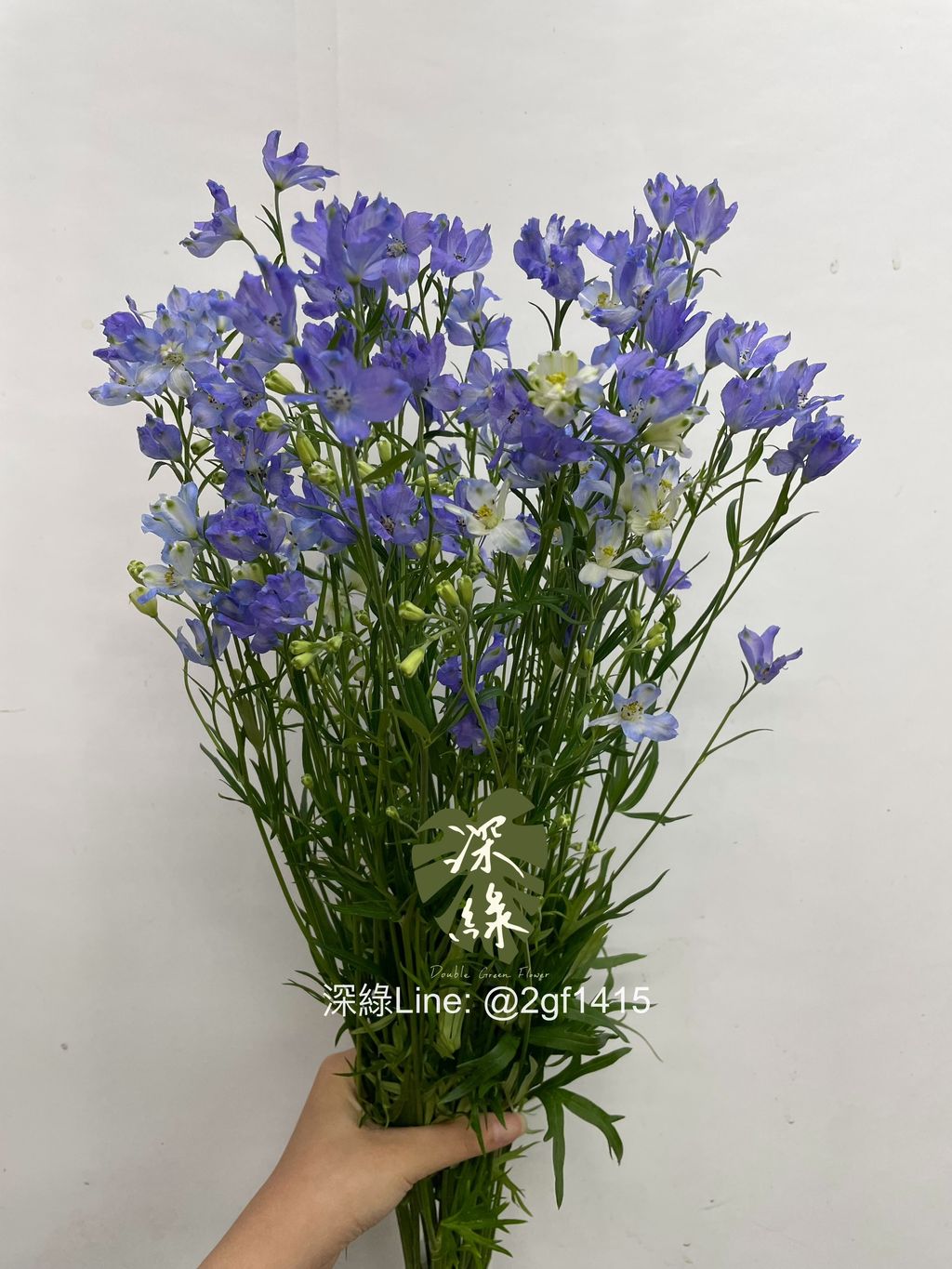 image_BCF92255-6F46-43BD-8FF2-C2B49972585E_1753760490