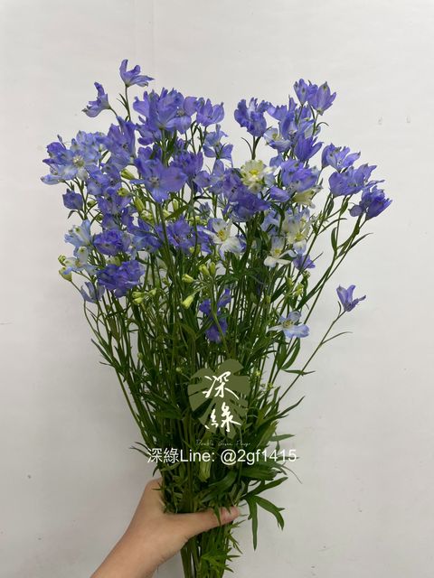 image_BCF92255-6F46-43BD-8FF2-C2B49972585E_1753760490