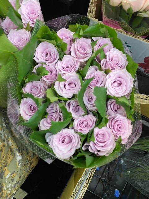 image_91072492-6E0B-4869-817B-E770BD899180_1753872352