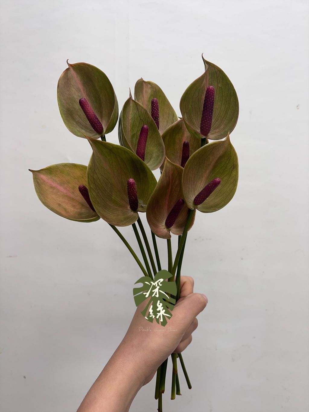 image_45E44F94-0F4E-4A96-9C25-EC92D6B0957D_1754018622