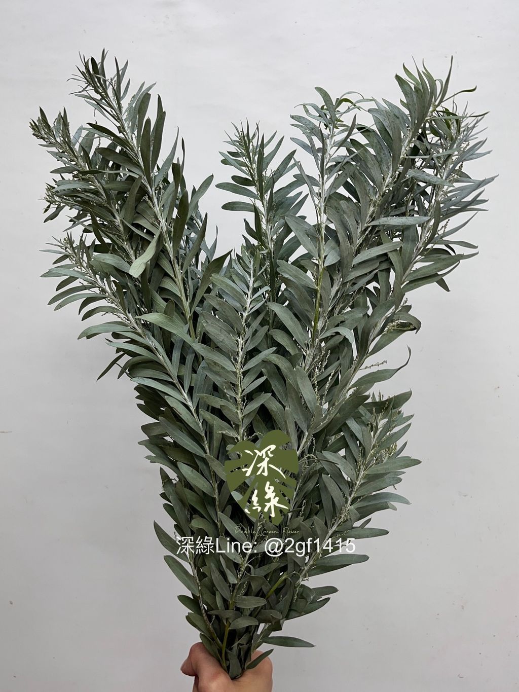 image_83F49EB9-9625-400D-80ED-F15C2932FCDE_1752551441