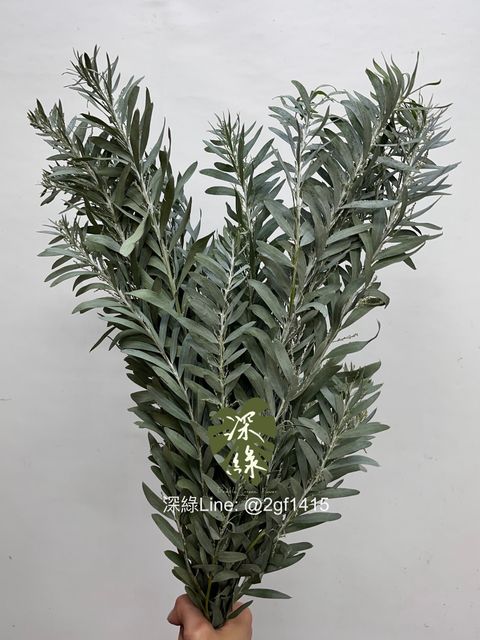 image_83F49EB9-9625-400D-80ED-F15C2932FCDE_1752551441