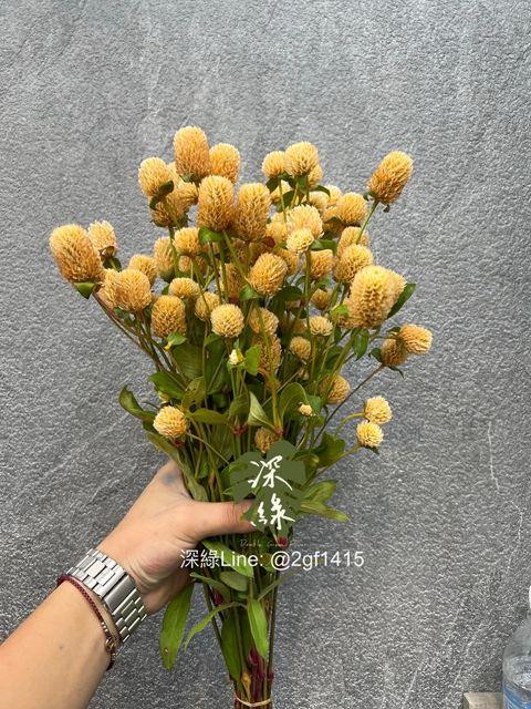 image_DEDC7F19-5272-4C23-9A43-3F880005BD8D_1754359658