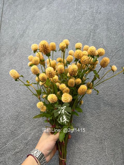 image_1EF05256-EE0A-47CF-89E3-9FFE86EDB1A7_1754359658