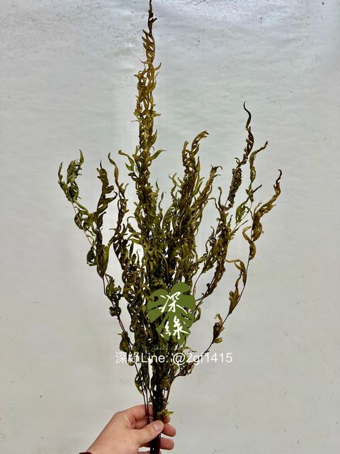 image_CAD08D4B-F4C9-4573-B6E3-D21BFDBB64DD_1754359746