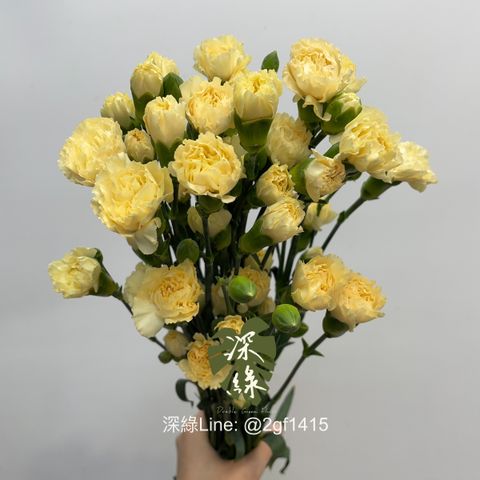 image_A8F221C0-7E71-4D50-866D-0EC3A80AC76B_1754450556