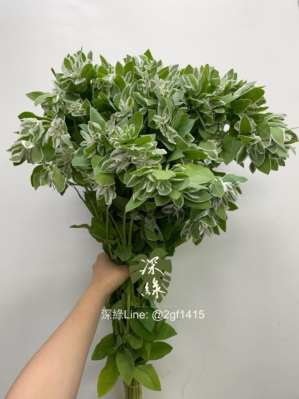 IMG_1852-1714118405678