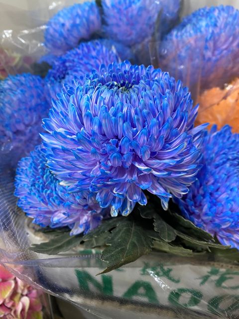 image_CF8C7F89-0EB9-4017-A5C8-EBAF85C3E2C1_1754467200