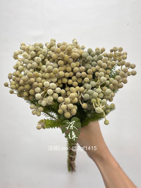 image_45714811-E7B7-4A04-8C27-803BED8A243F_1754621657