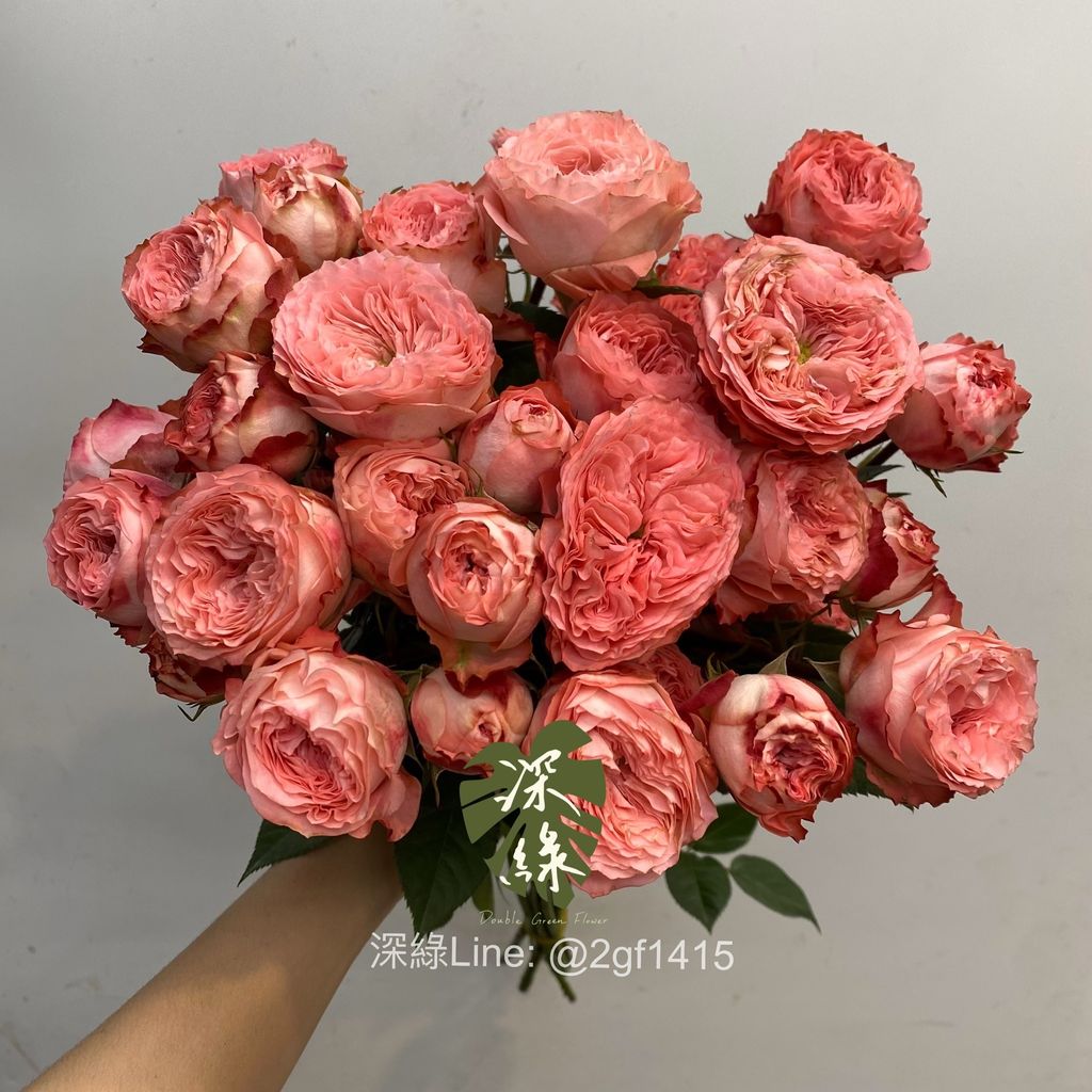 image_05357EEA-F3D2-4820-B798-323AE459CDE0_1754802230