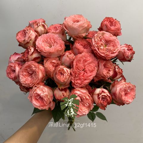 image_05357EEA-F3D2-4820-B798-323AE459CDE0_1754802230