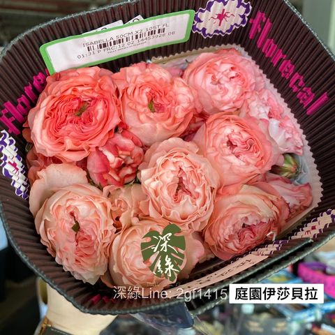 image_093DB414-A91B-4F96-9FC2-D2722CD8D30B_1754802230